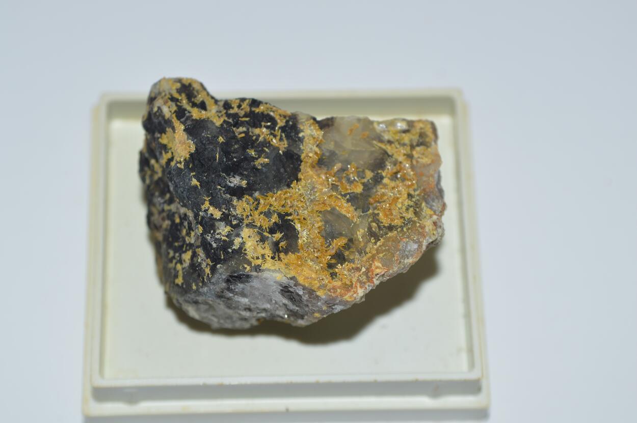 Parsonsite