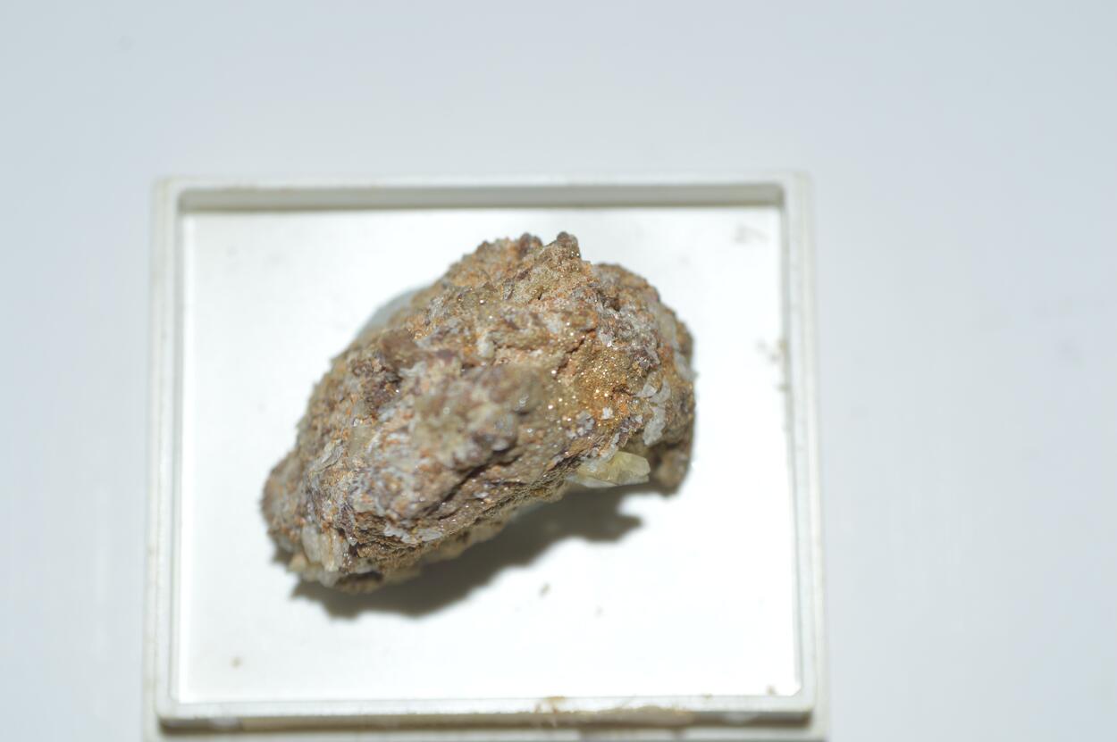 Whewellite