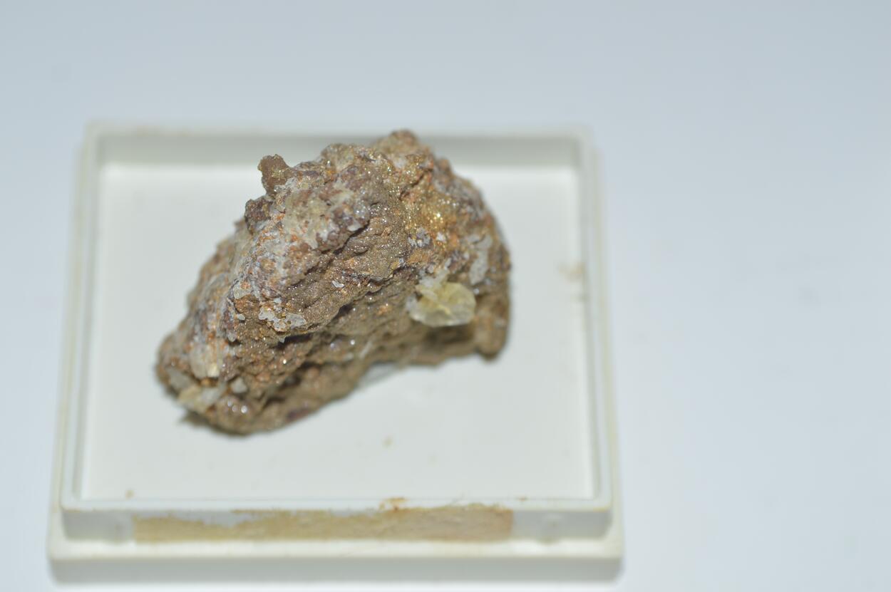 Whewellite