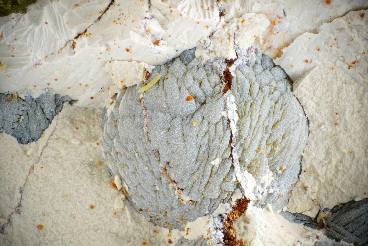 Tinticite & Calcioferrite