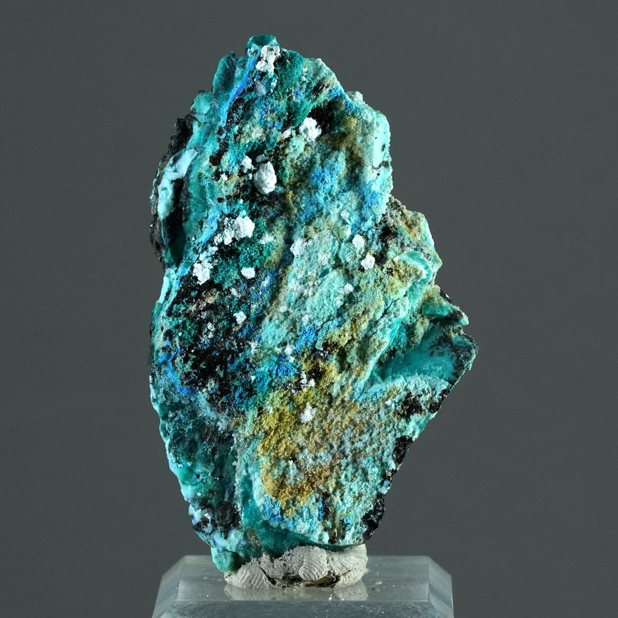 Chrysocolla Azurite Spangolite Cyanotrichite Adamite & Aragonite