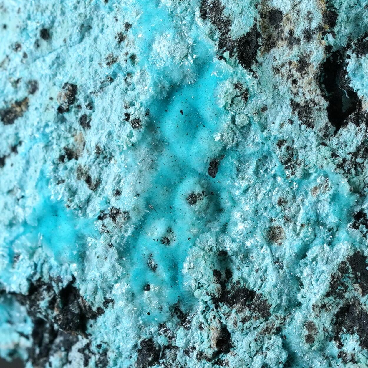 Aurichalcite & Rosasite On Chrysocolla