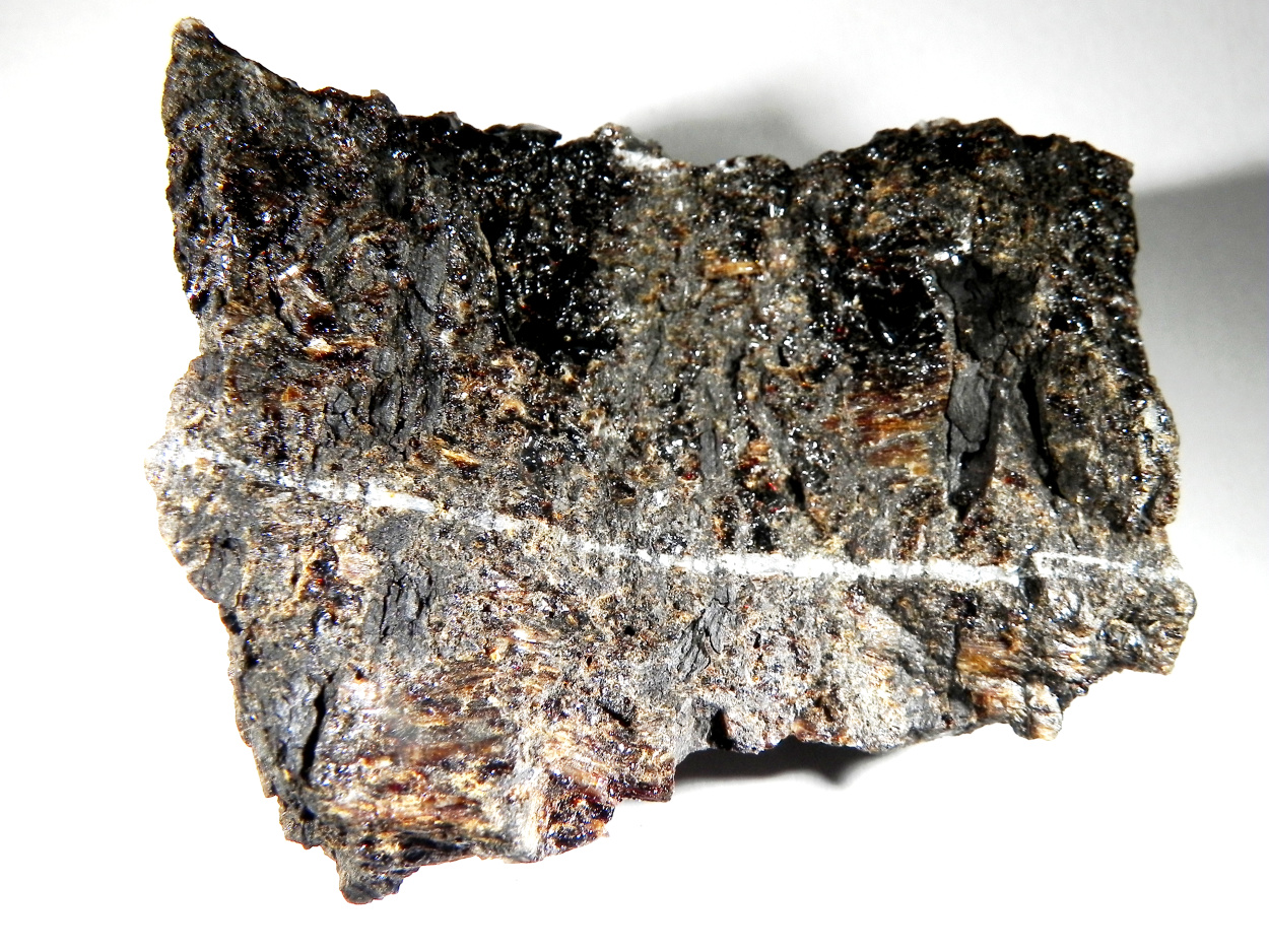 Duxite With Petrified Wood & Quartz