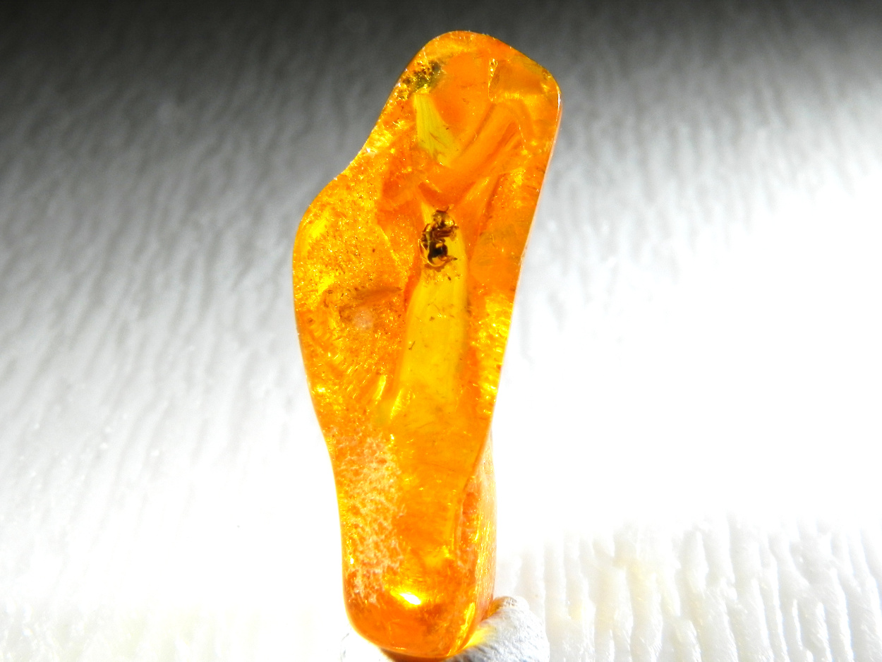 Amber With Inclusions