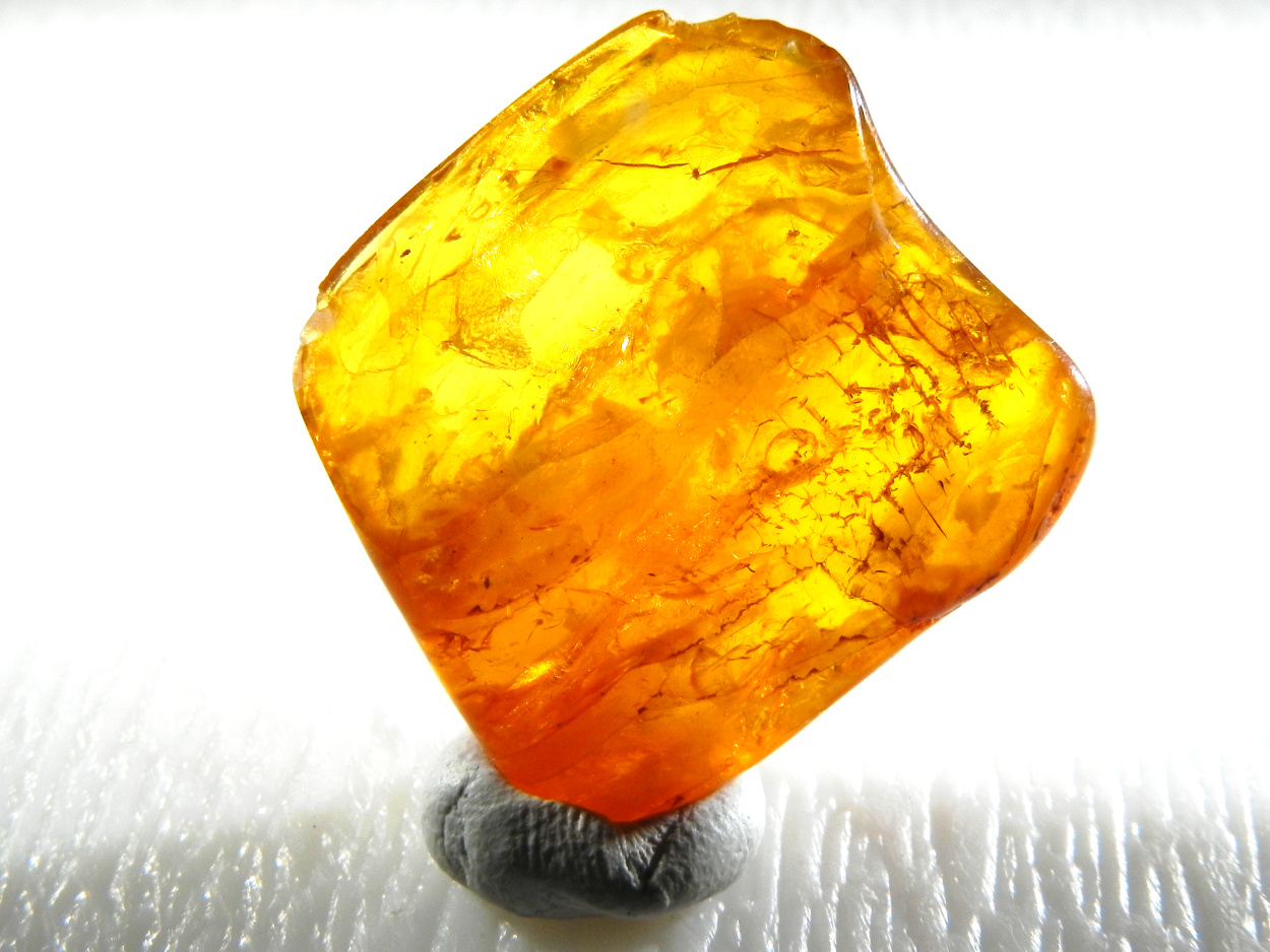 Amber With Inclusions