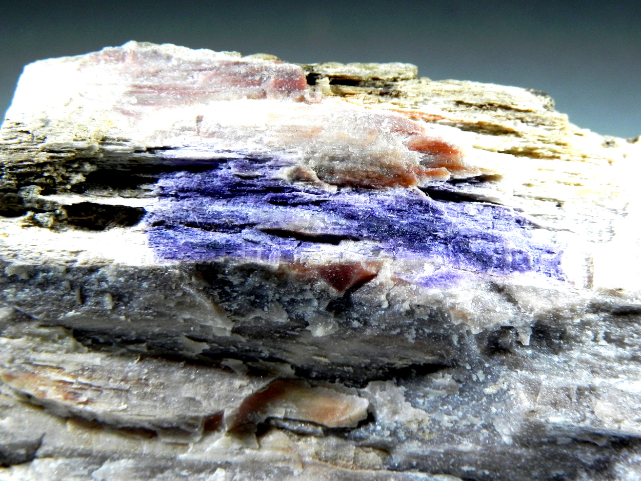 Fluorite & Quartz Psm Petrified Wood