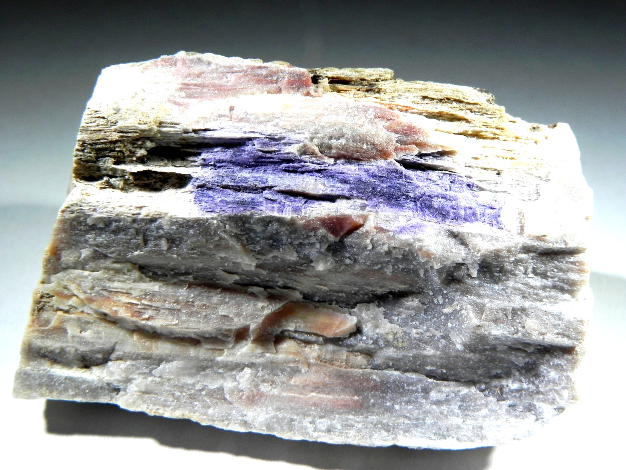 Fluorite & Quartz Psm Petrified Wood