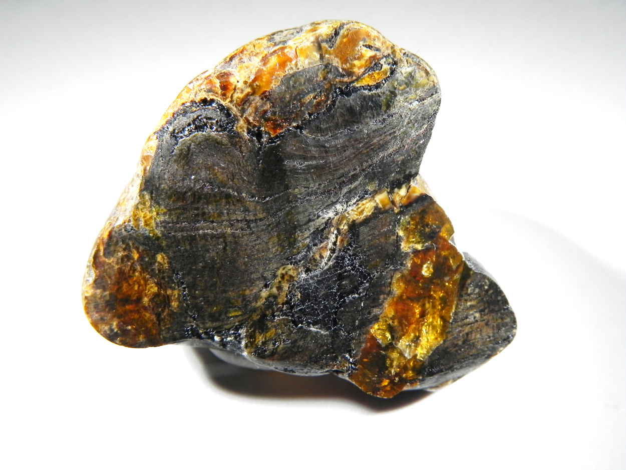 Petrified Wood In Amber