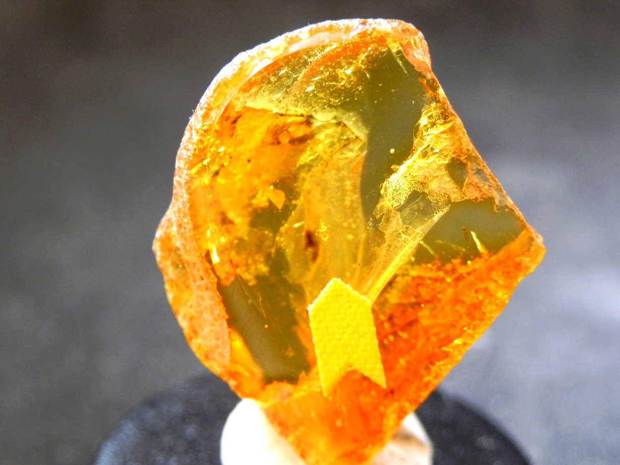 Amber With Inclusions