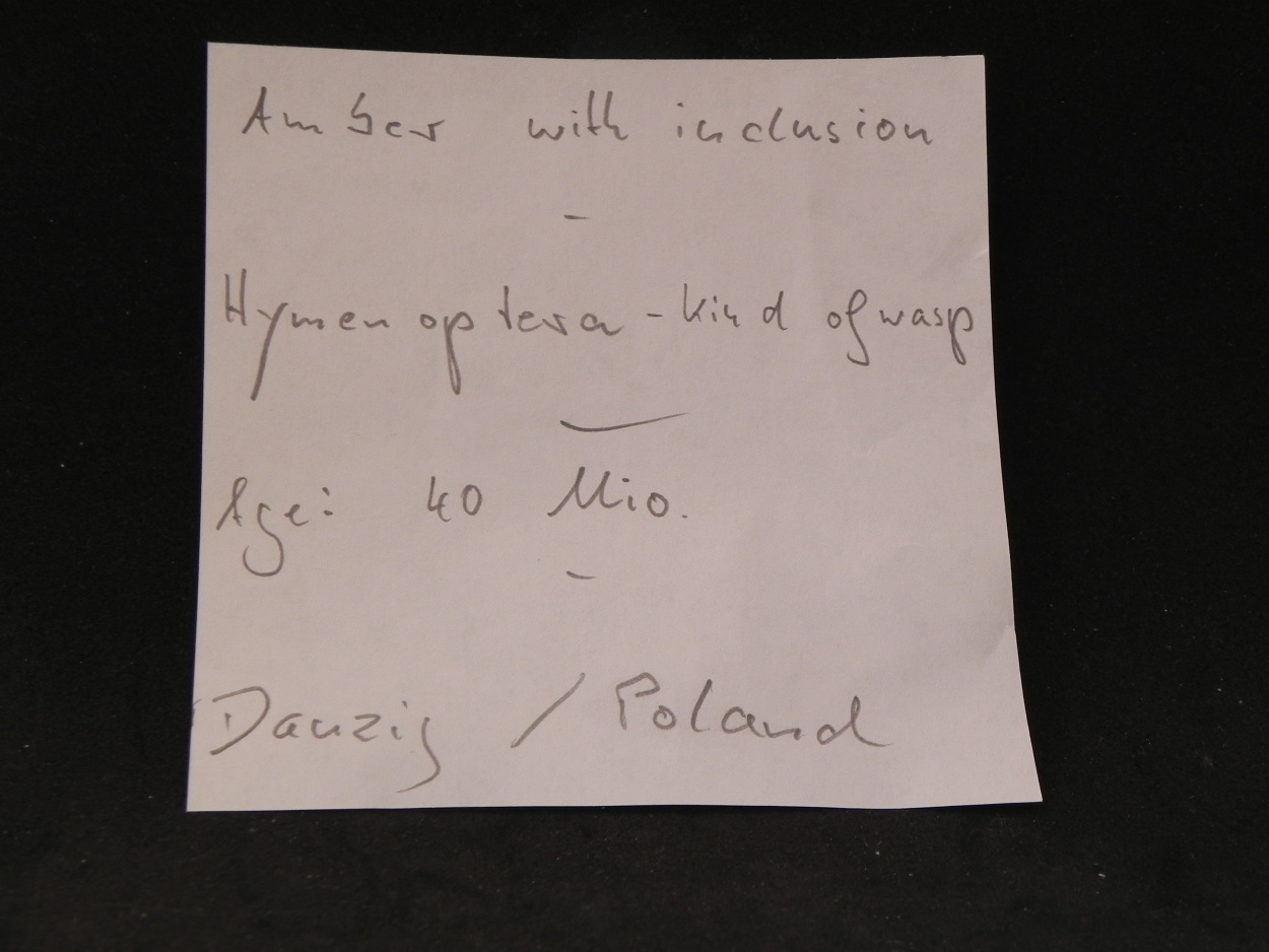 Amber With Inclusions