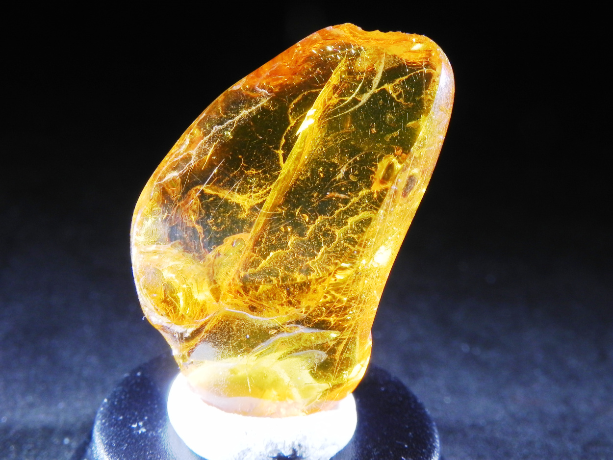 Amber With Inclusions