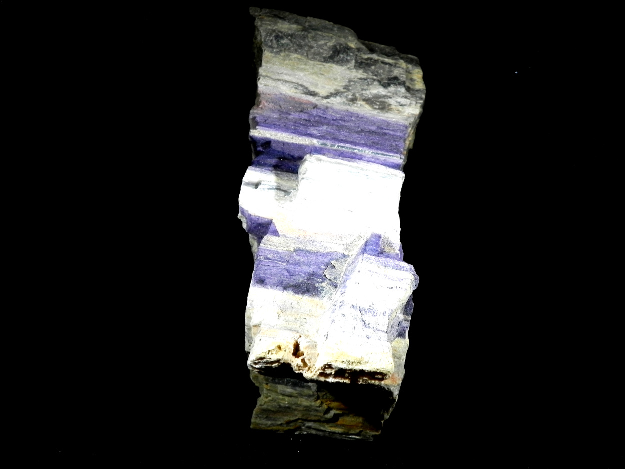 Fluorite & Quartz Psm Petrified Wood