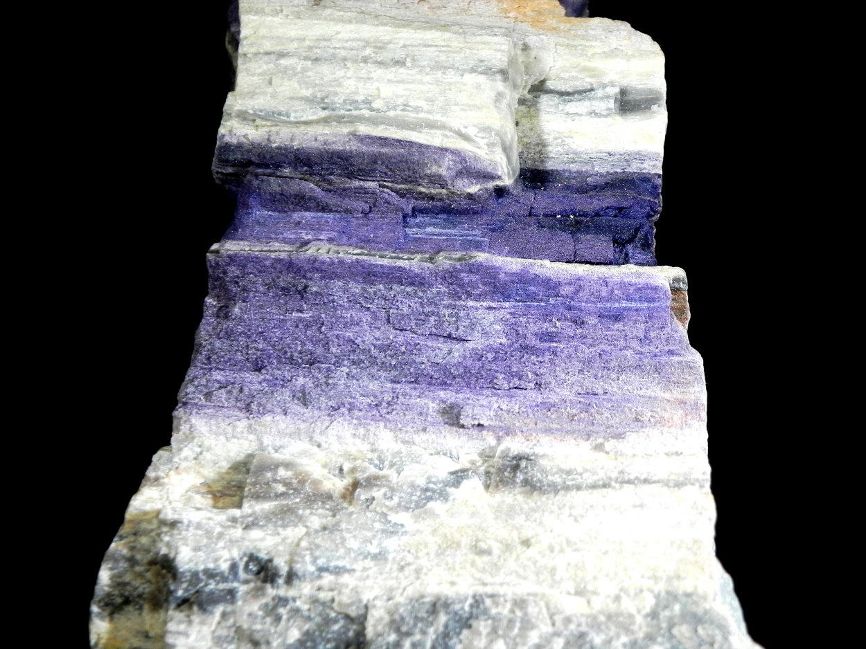 Fluorite & Quartz Psm Petrified Wood