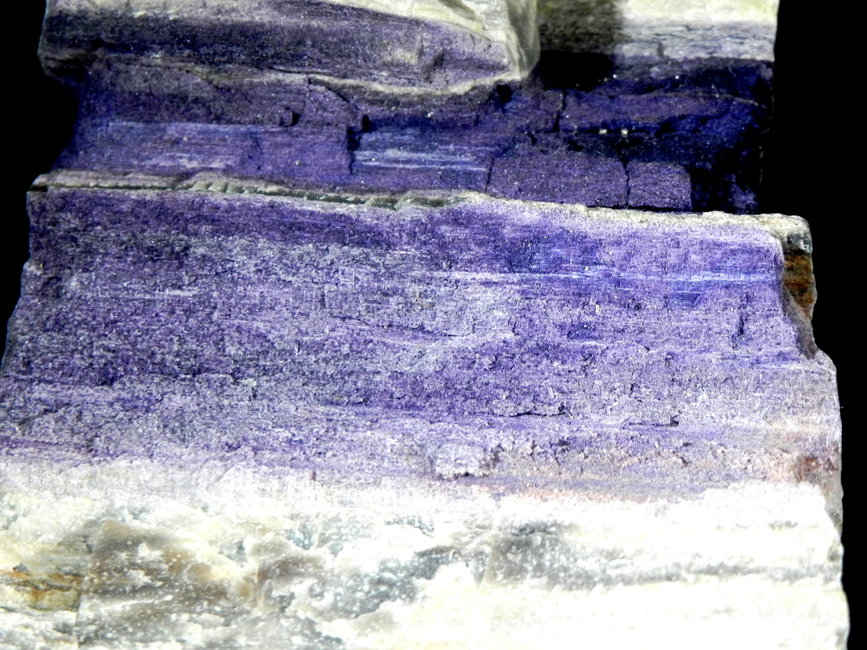 Fluorite & Quartz Psm Petrified Wood