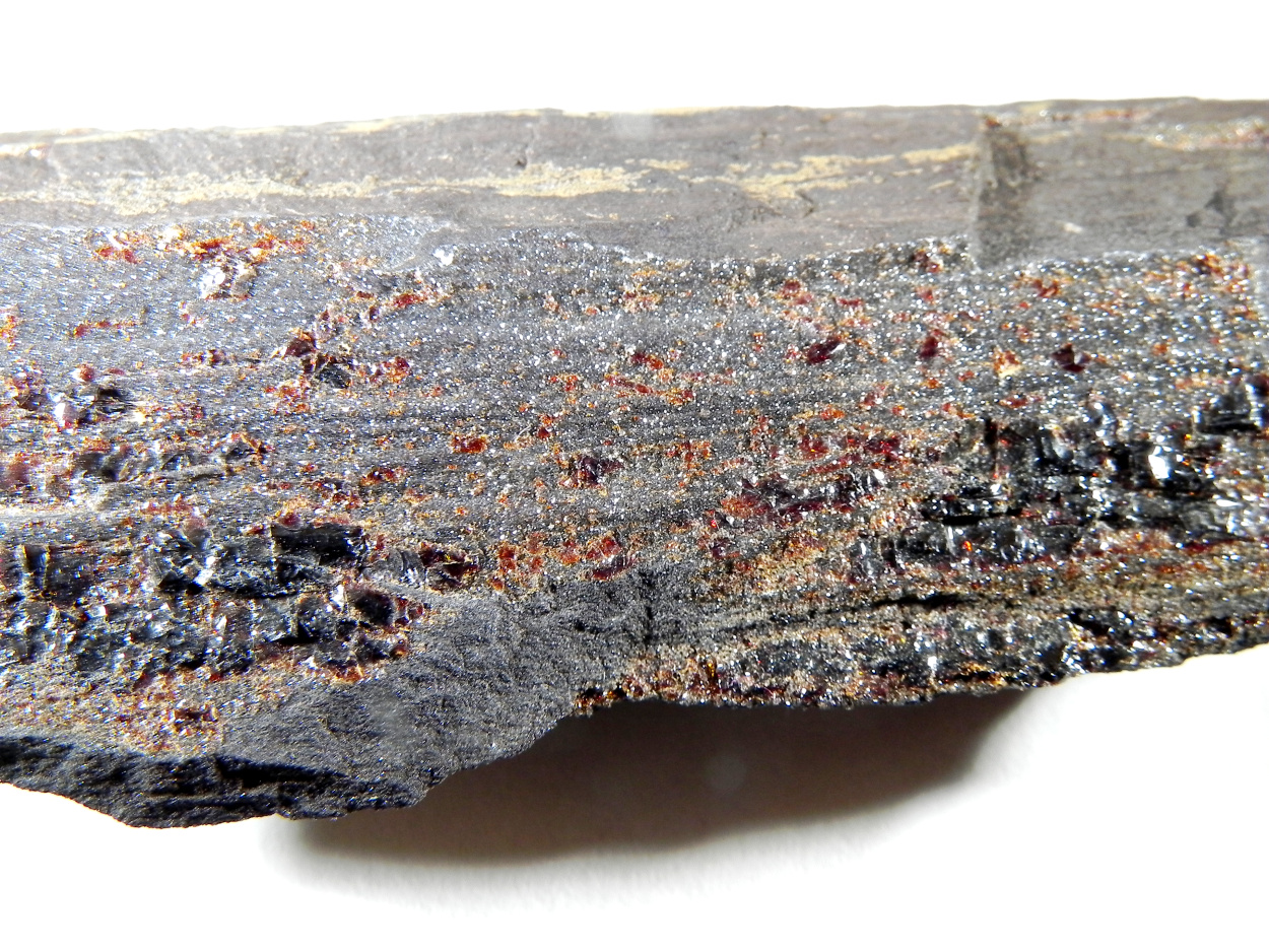 Amber Duxite On Petrified Wood