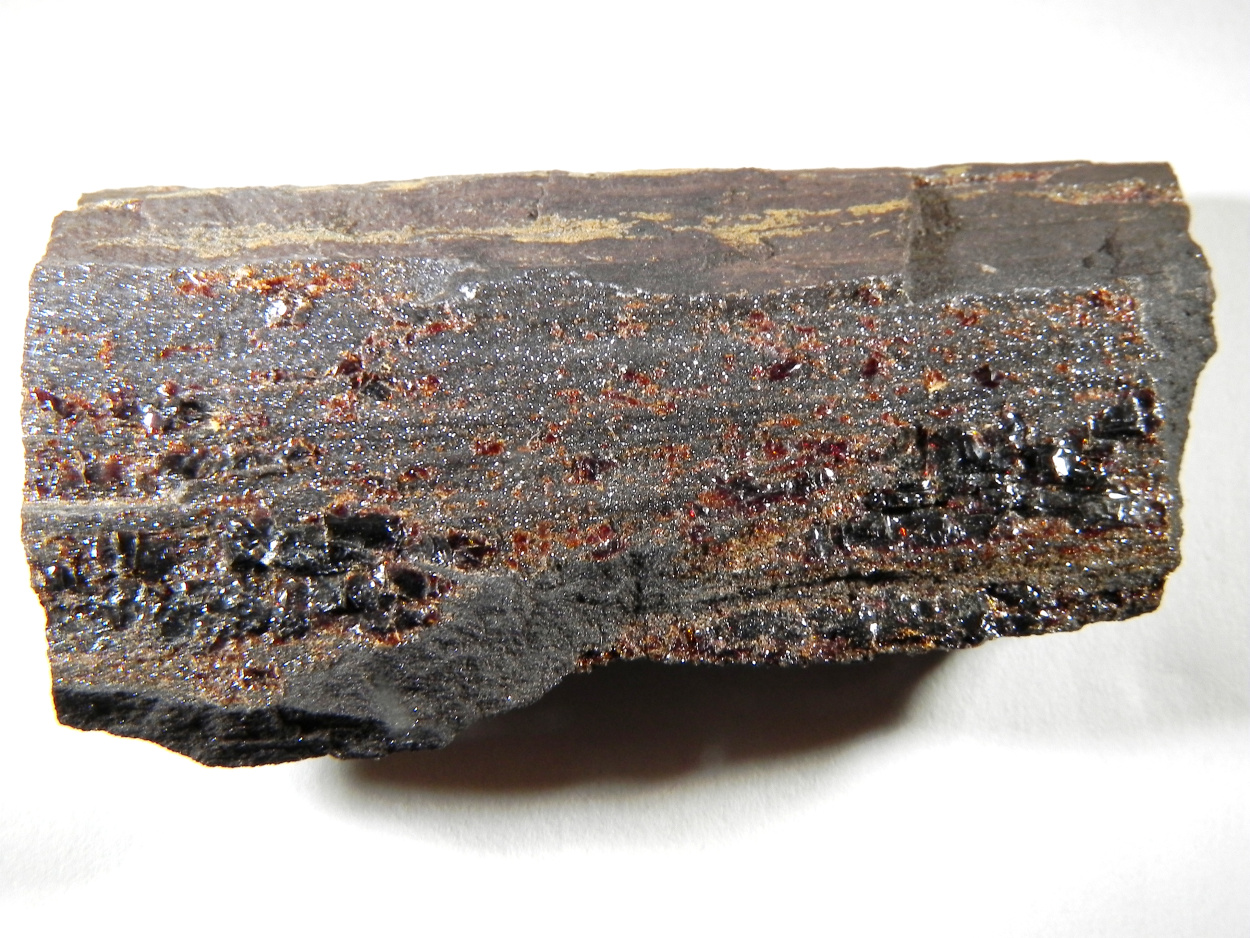 Amber Duxite On Petrified Wood