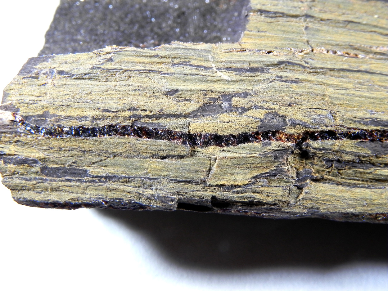 Amber Duxite On Petrified Wood