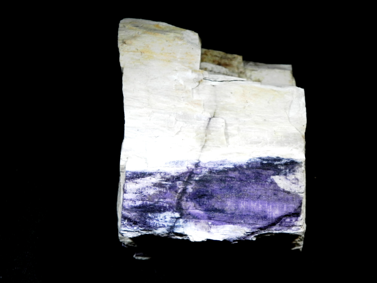 Fluorite & Quartz Psm Petrified Wood