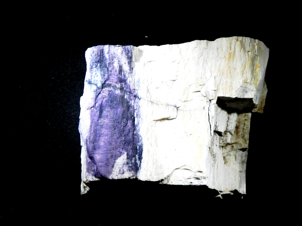 Fluorite & Quartz Psm Petrified Wood