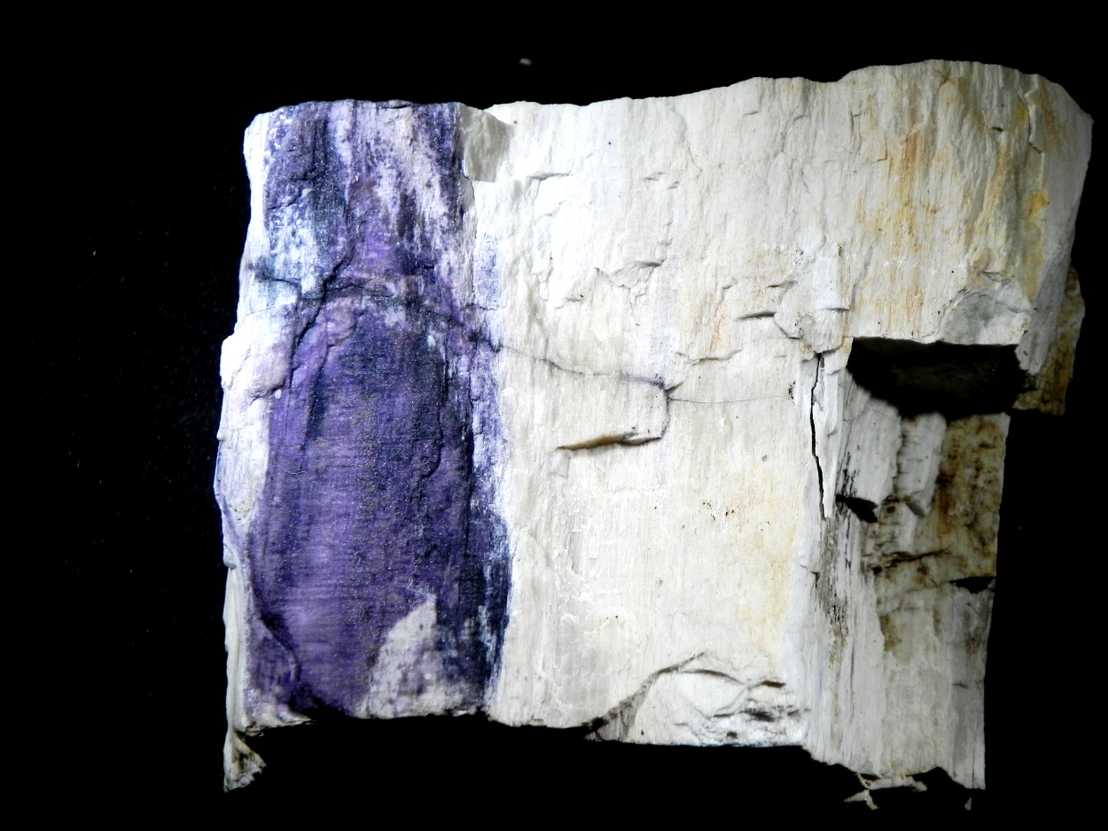 Fluorite & Quartz Psm Petrified Wood