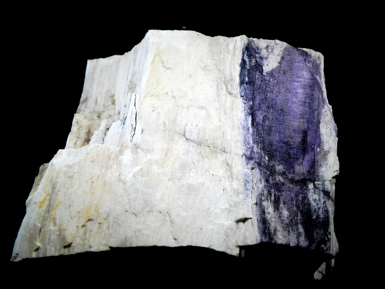 Fluorite & Quartz Psm Petrified Wood