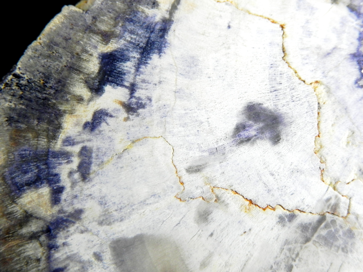 Fluorite & Quartz Psm Petrified Wood