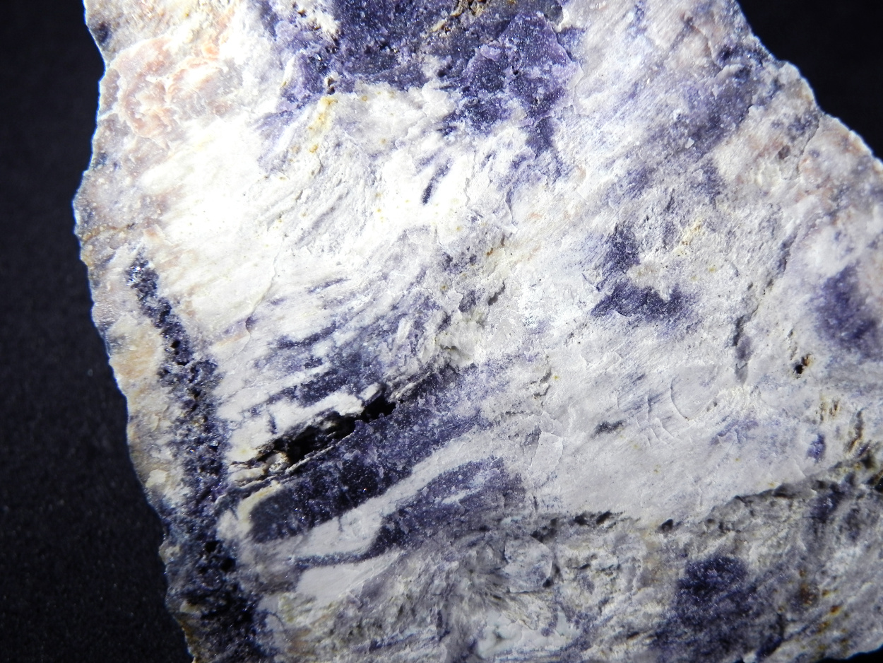 Fluorite & Quartz Psm Petrified Wood