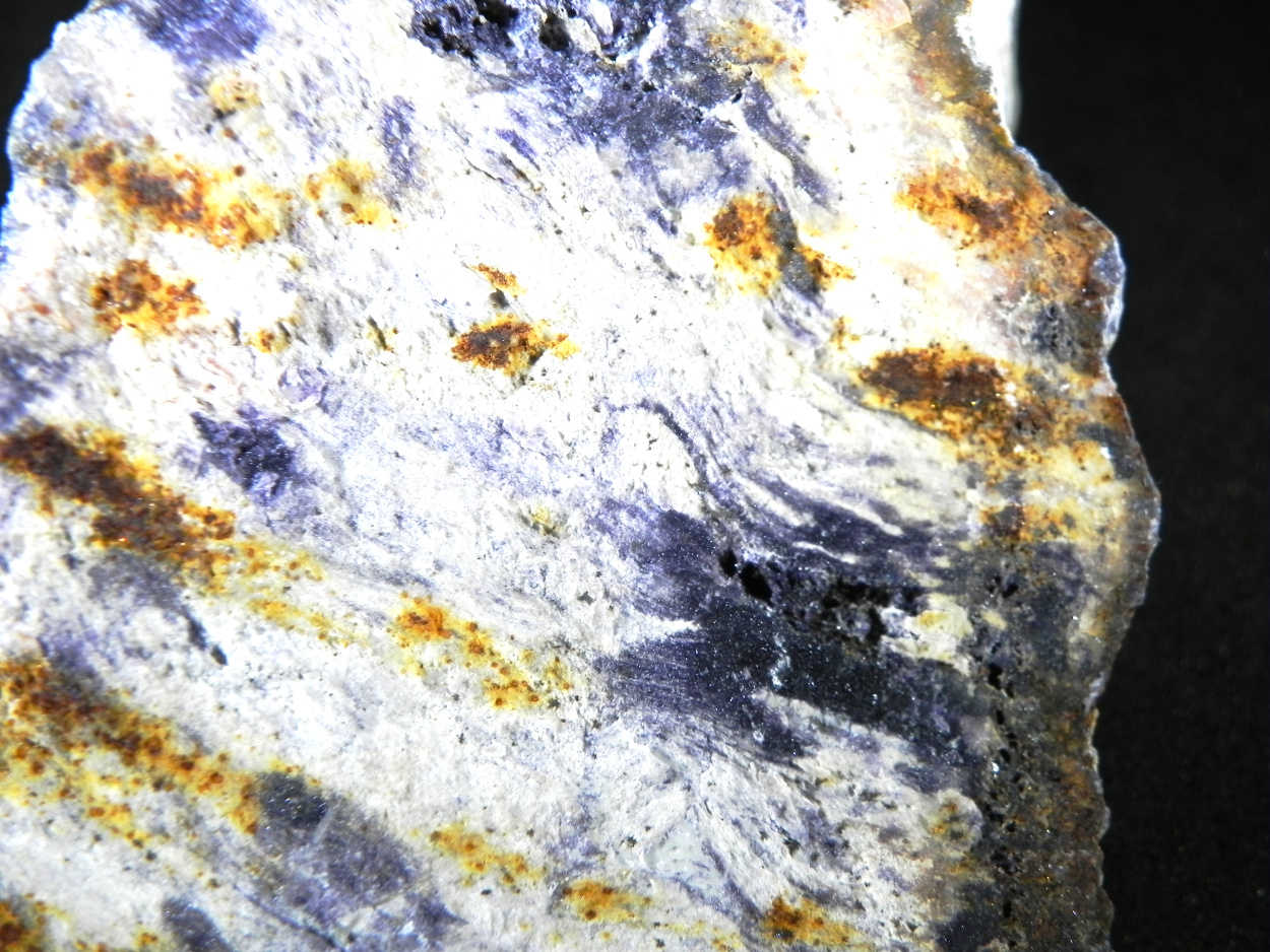 Fluorite & Quartz Psm Petrified Wood