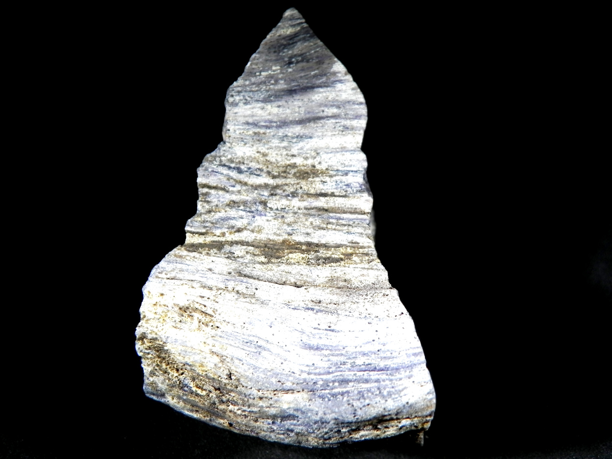 Fluorite & Quartz Psm Petrified Wood