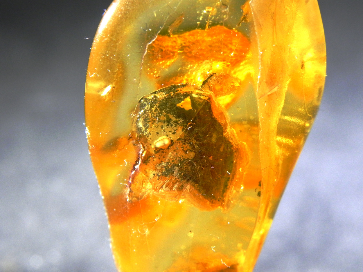 Pyrite In Amber