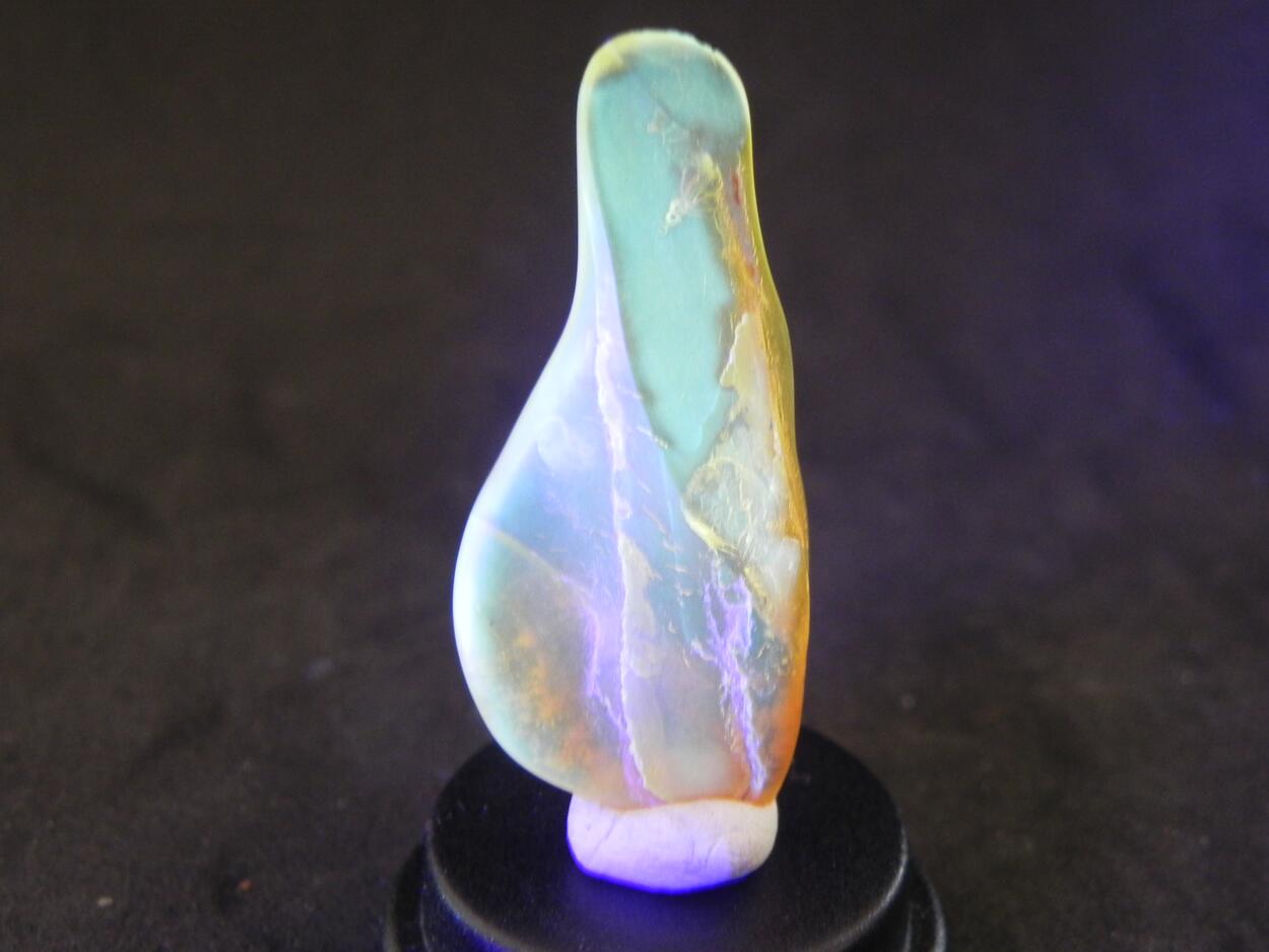 Amber With Inclusions