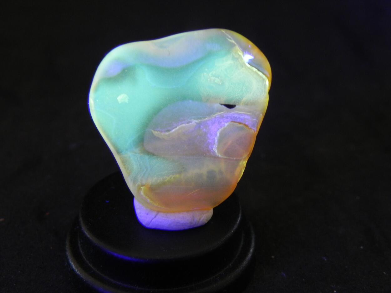 Amber With Inclusions