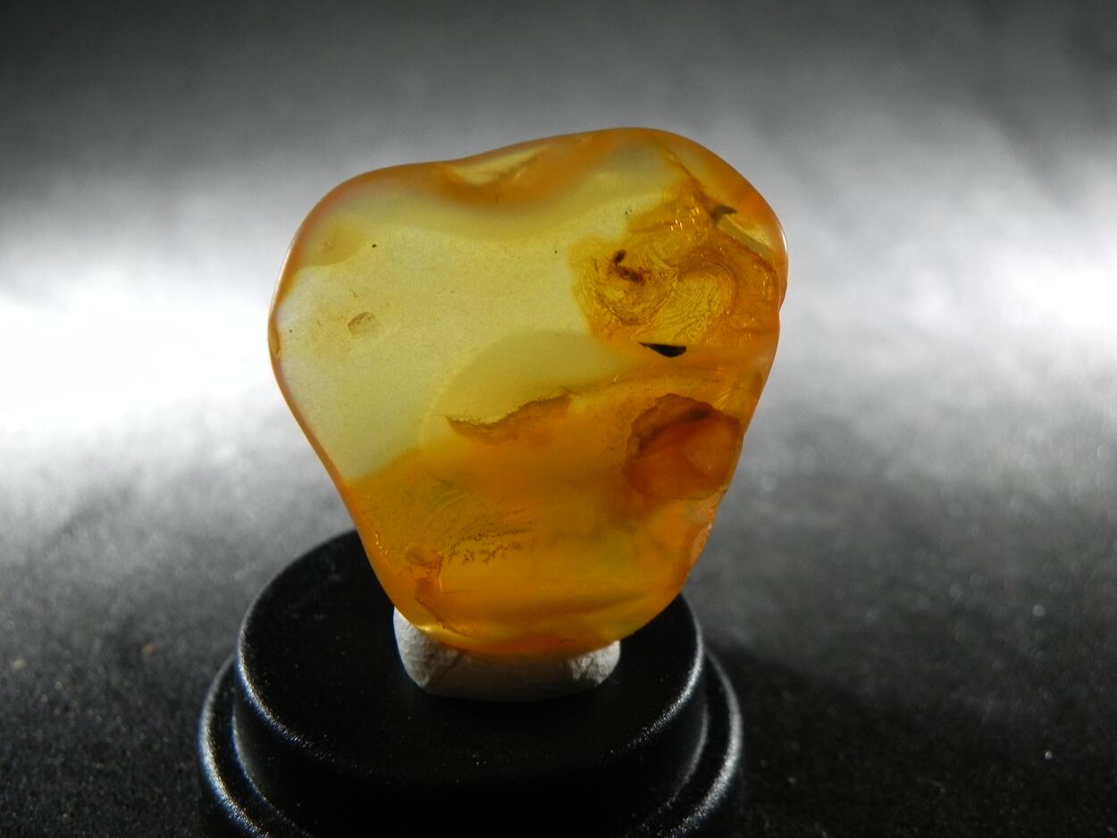 Amber With Inclusions