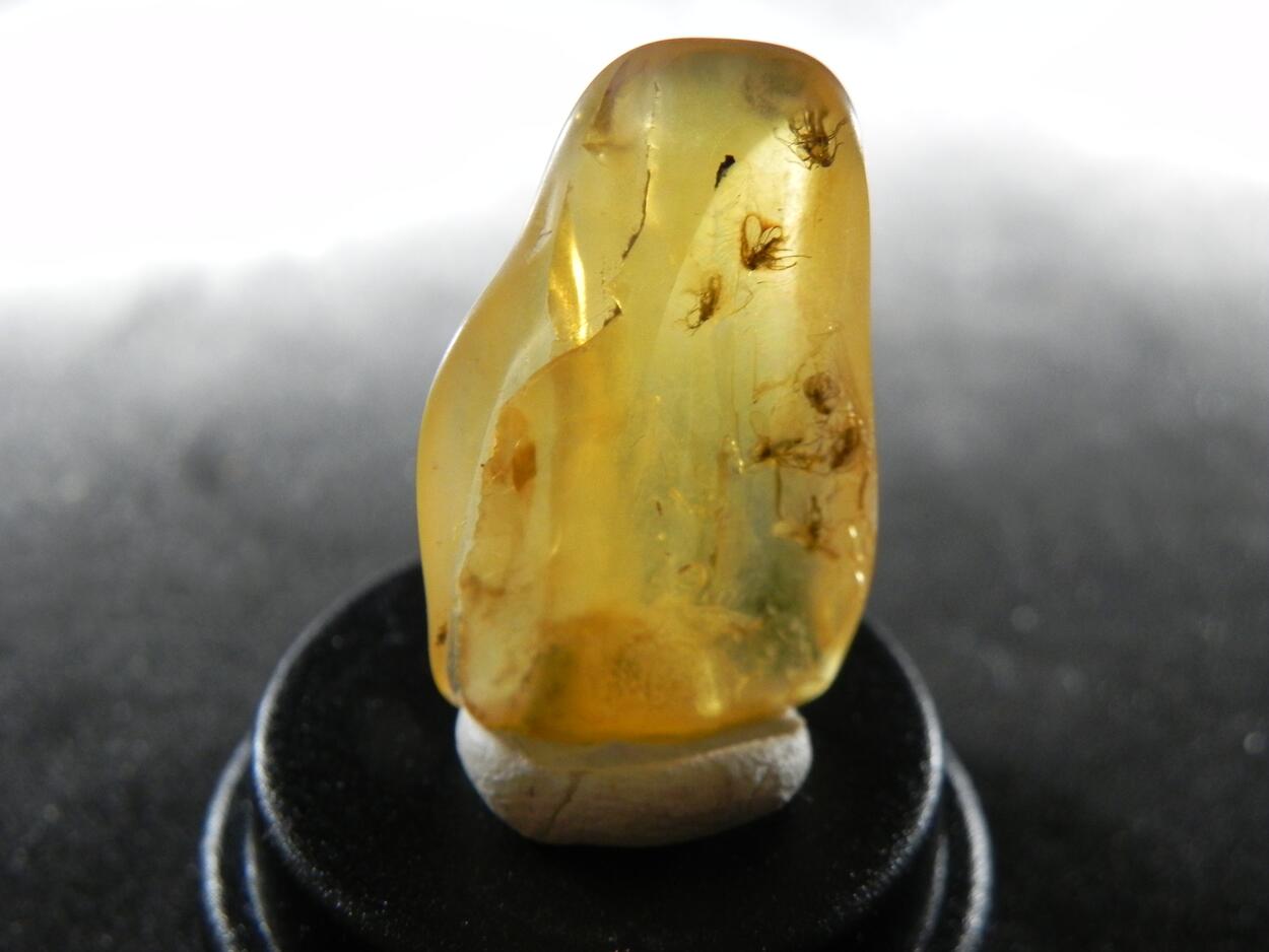Amber With Inclusions