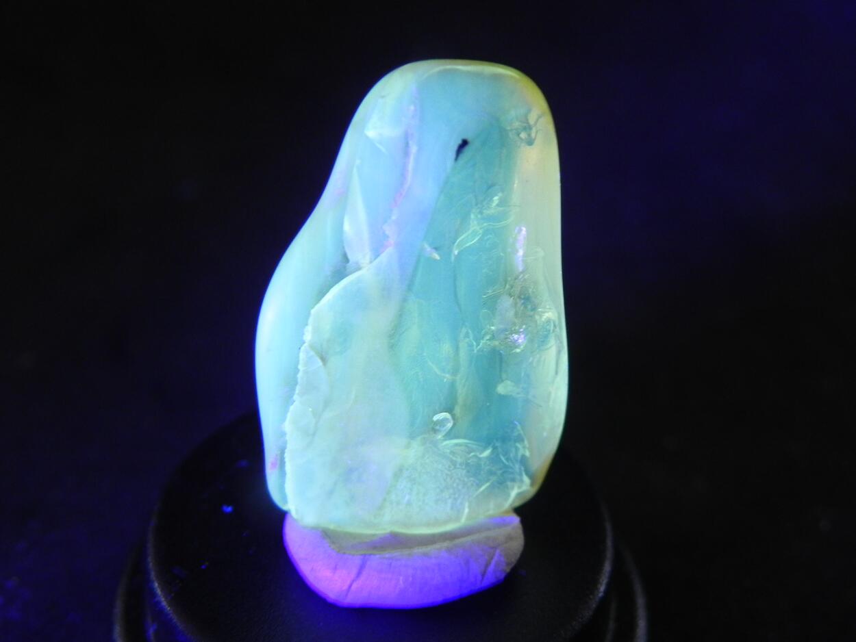 Amber With Inclusions