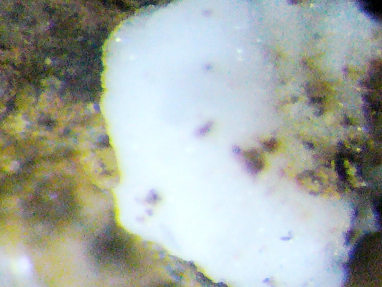 Zaccagnaite Blatonite & Gypsum