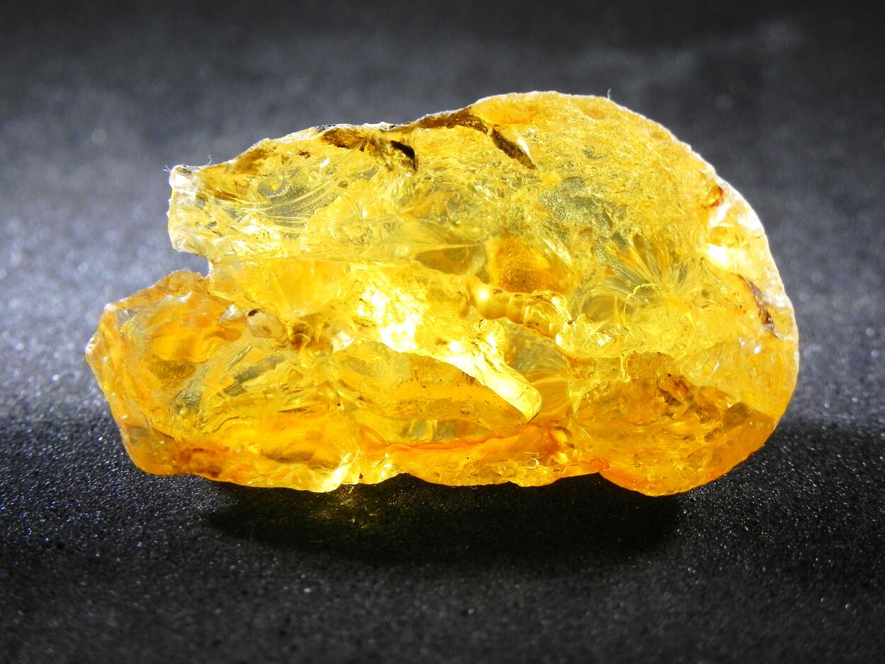 Gedanite Amber