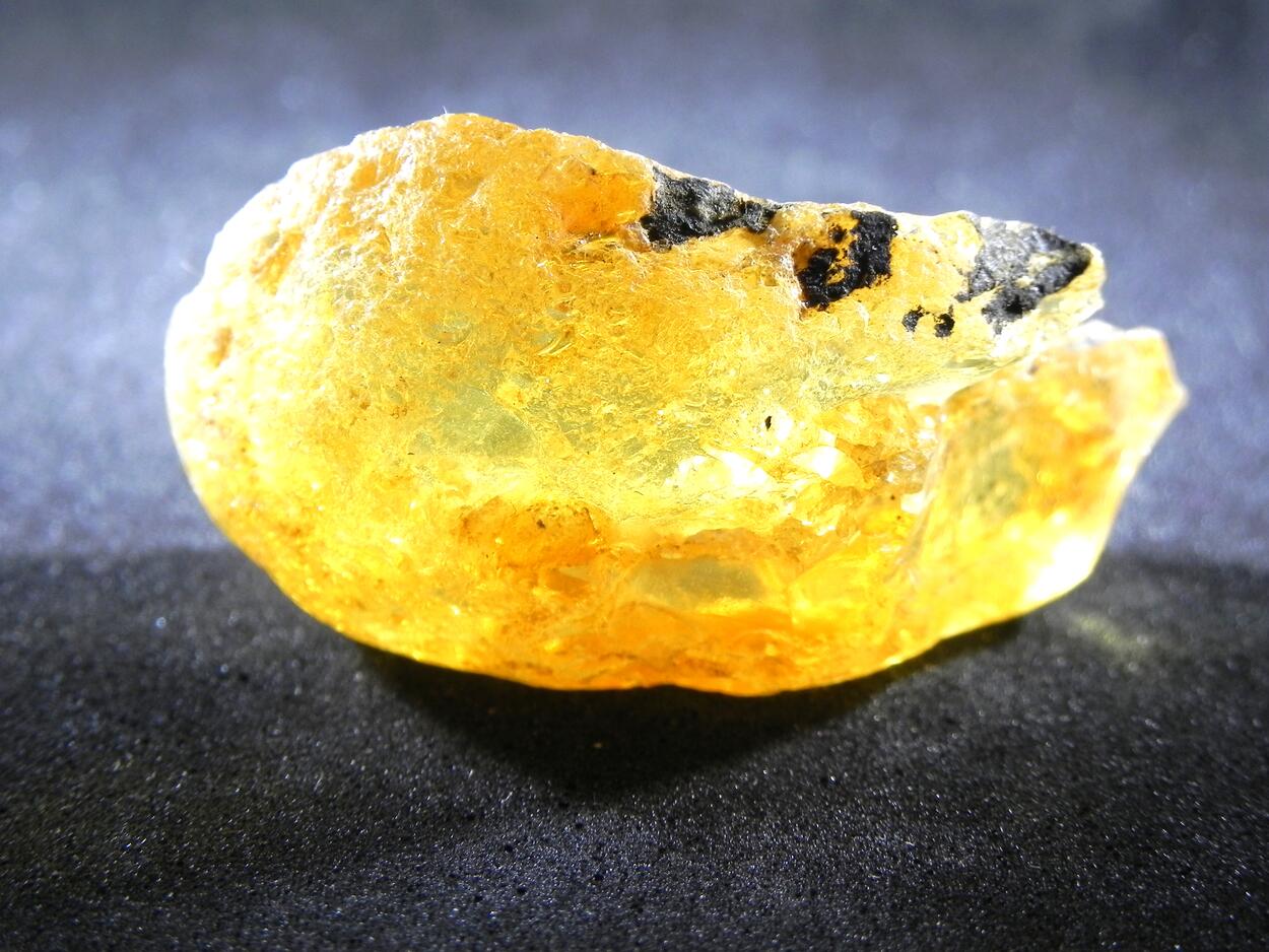 Gedanite Amber