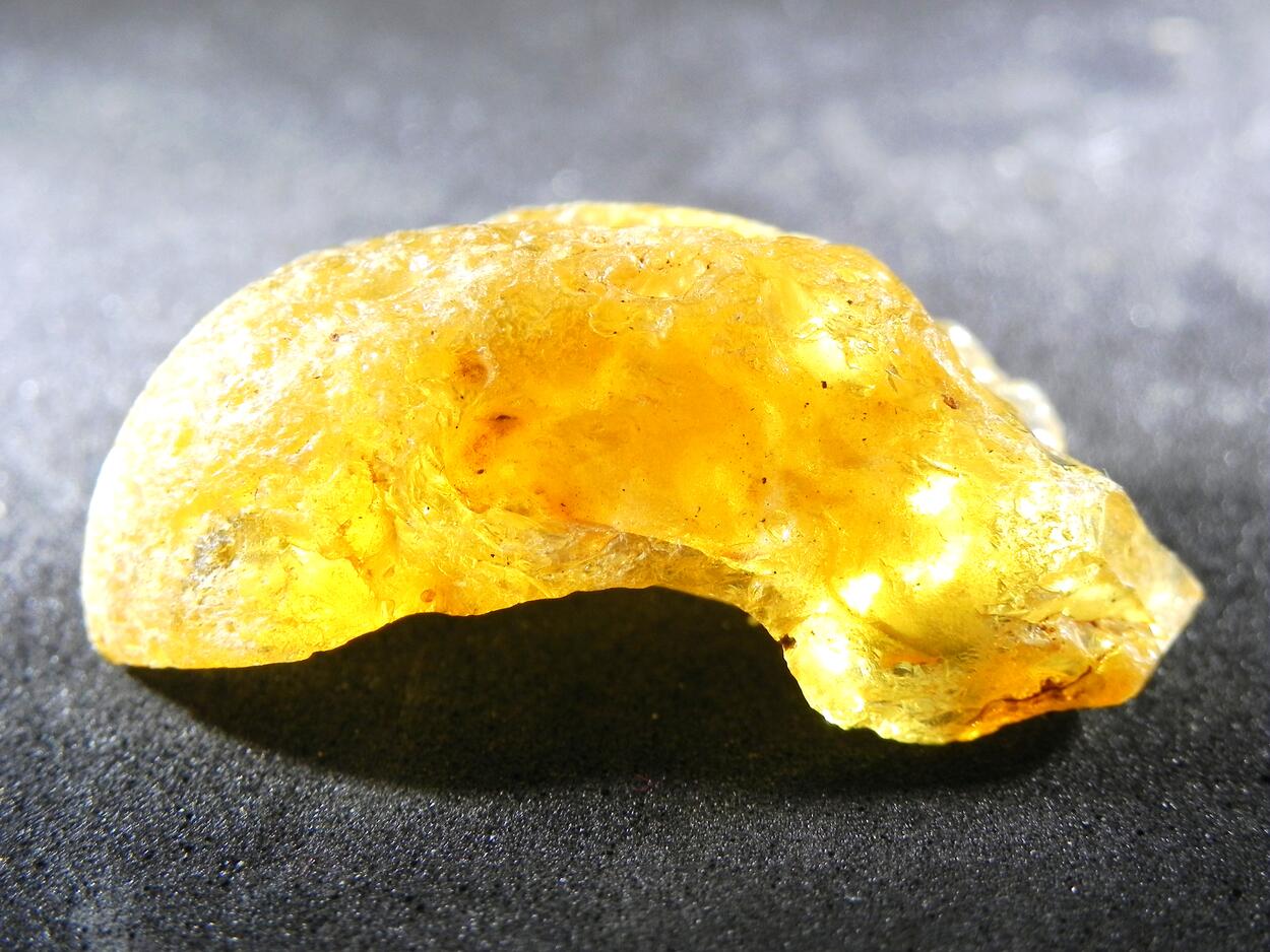 Gedanite Amber