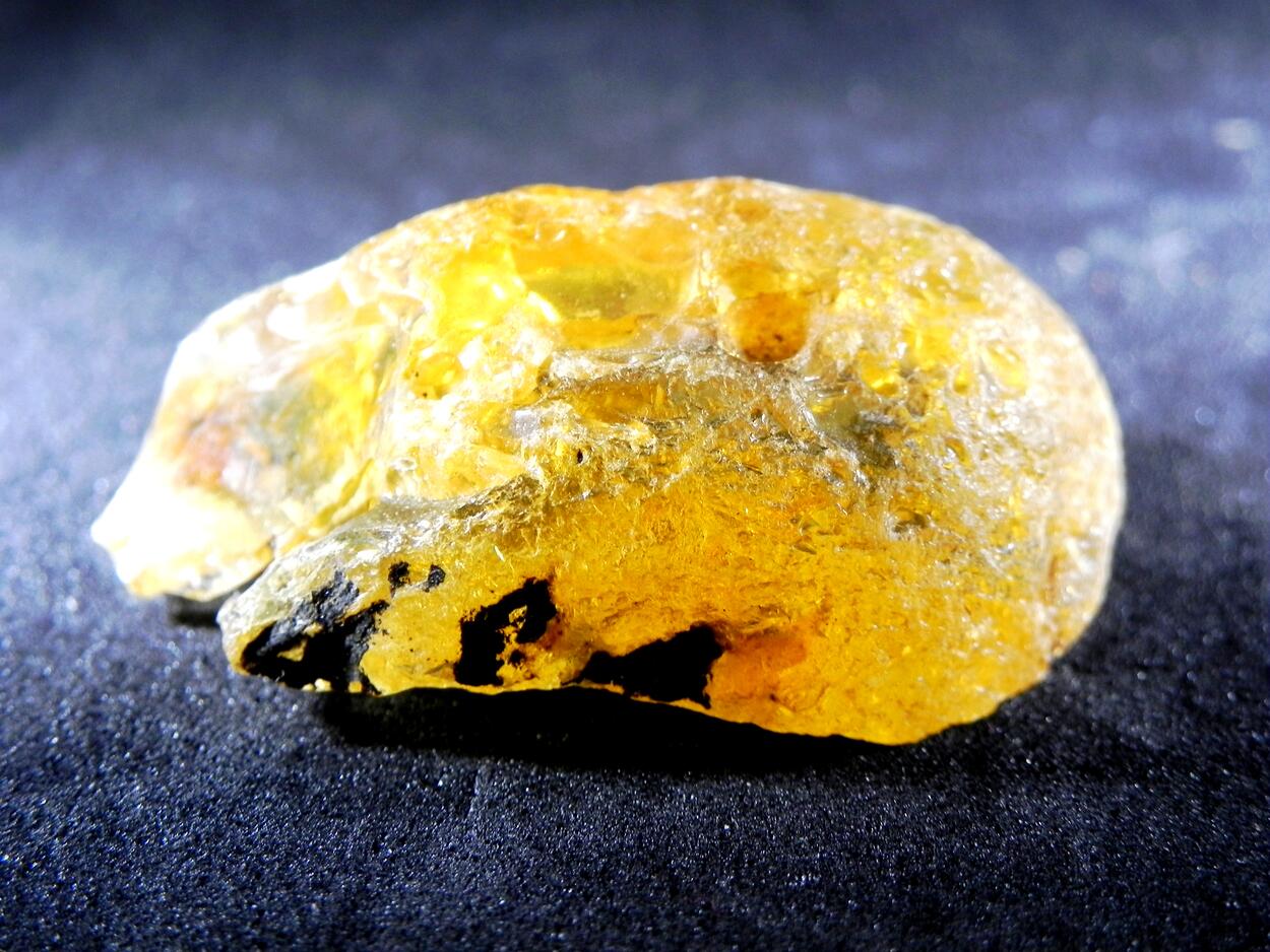 Gedanite Amber