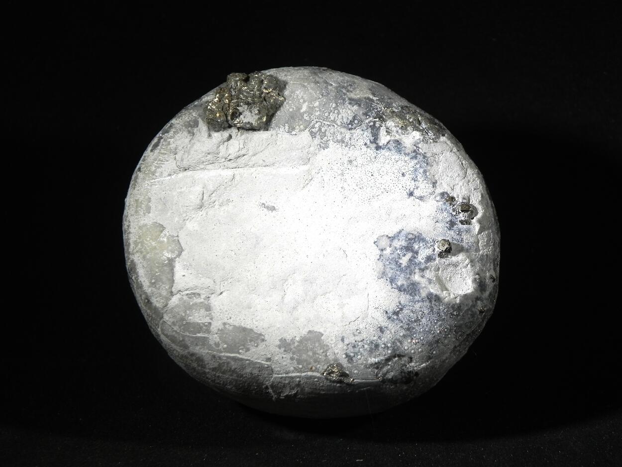 Fossil Sea Urchin With Pyrite