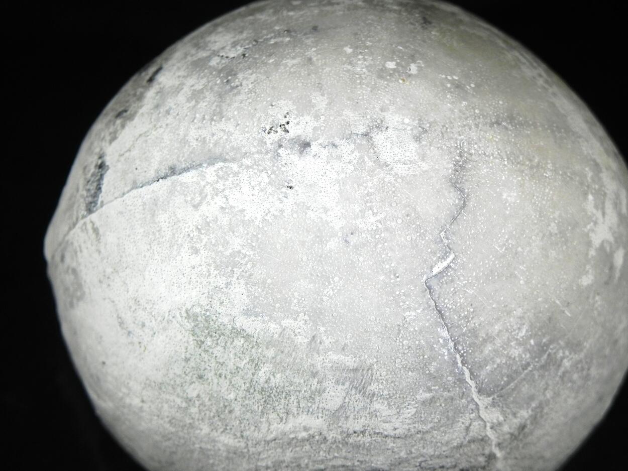 Fossil Sea Urchin With Pyrite