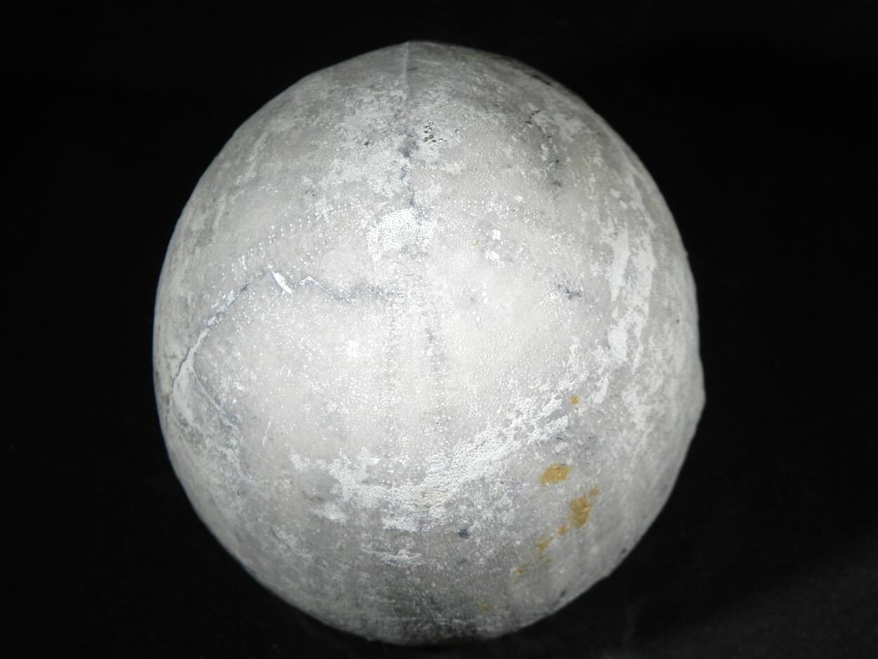 Fossil Sea Urchin With Pyrite