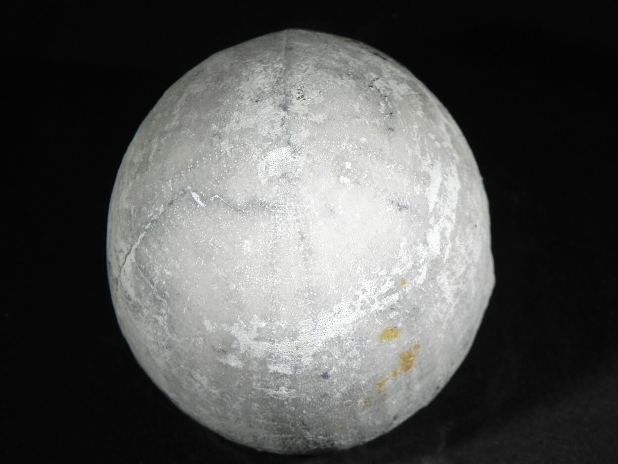 Fossil Sea Urchin With Pyrite