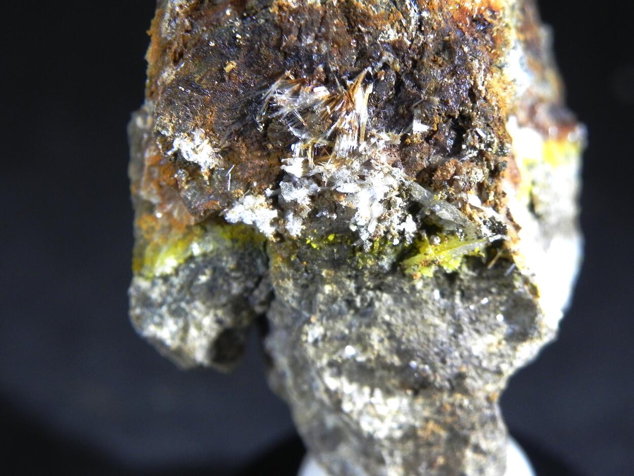 Zaccagnaite Blatonite & Gypsum