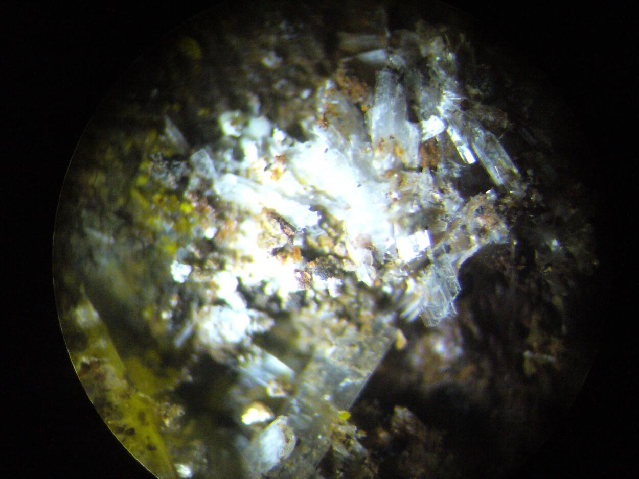 Zaccagnaite Blatonite & Gypsum