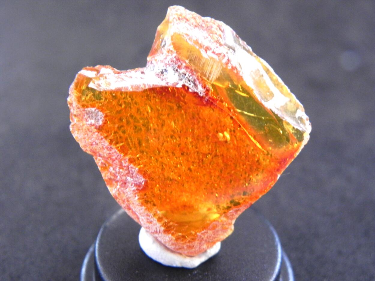 Amber With Inclusions