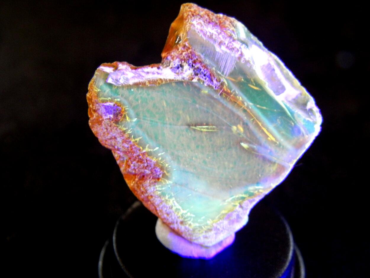 Amber With Inclusions