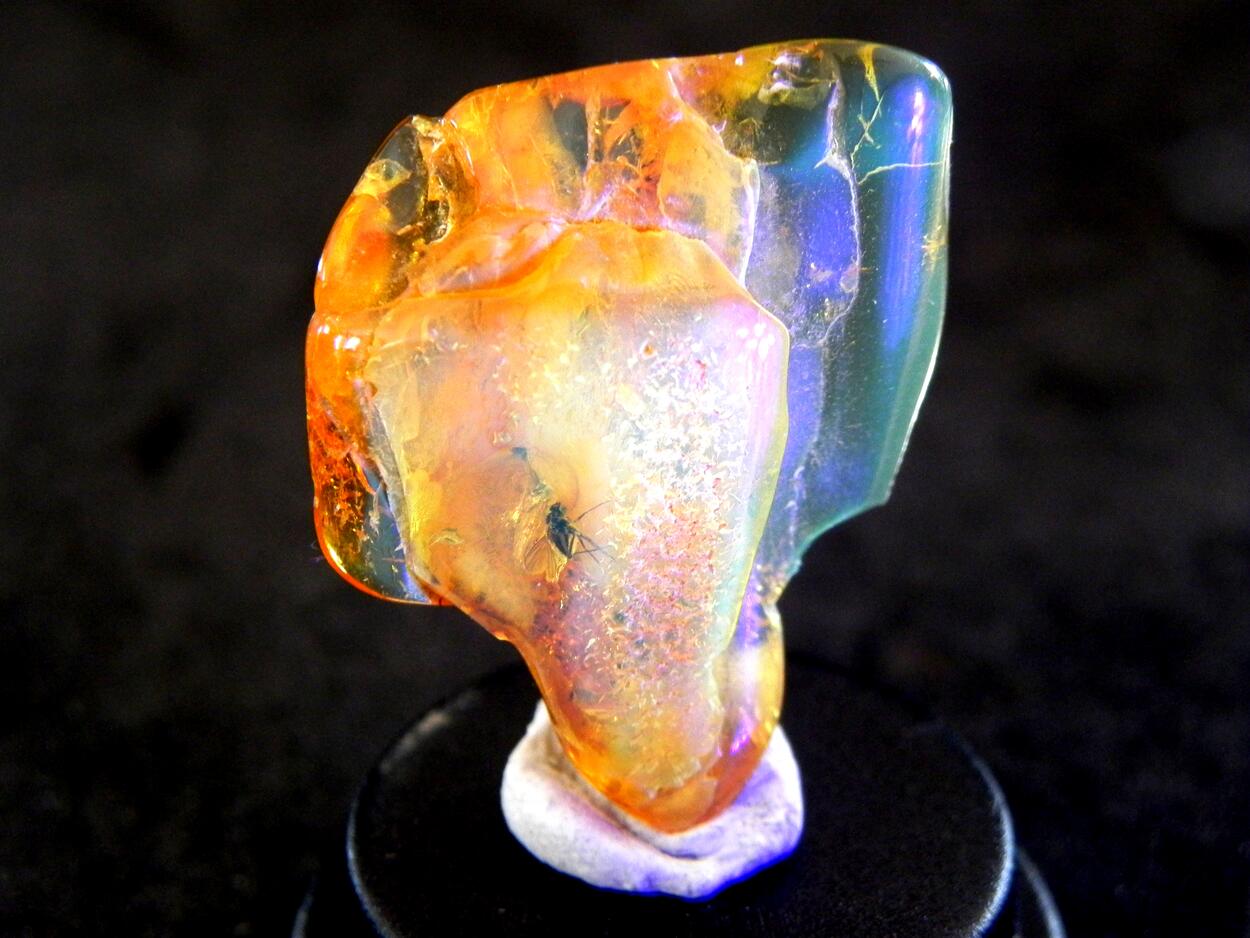 Amber With Inclusions