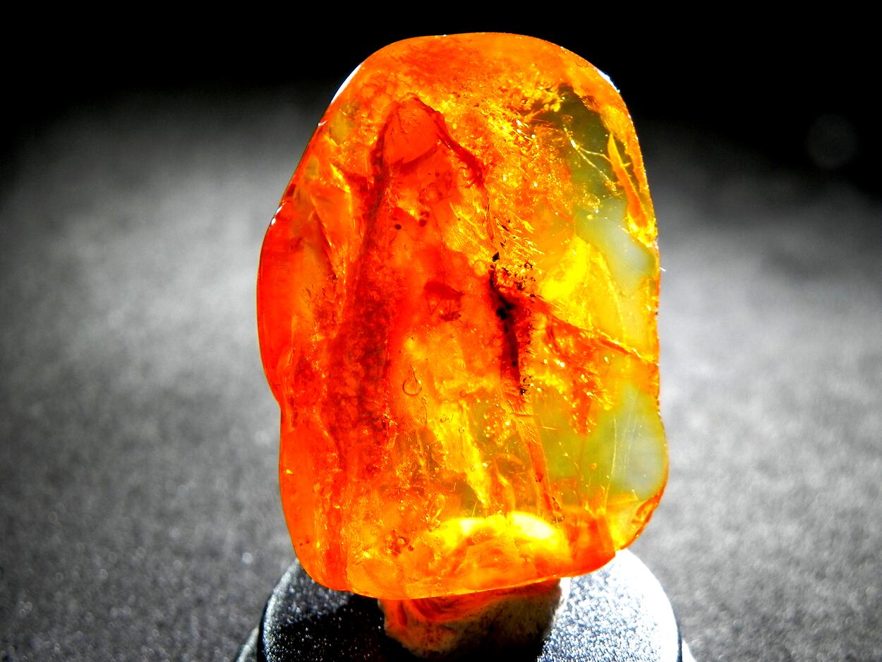 Amber With Inclusions